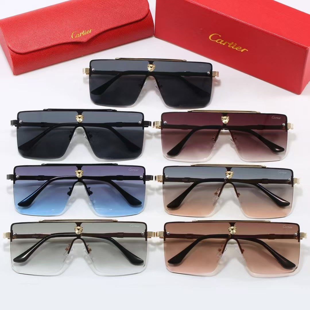 285RK55TDE Stylish Sunglasses