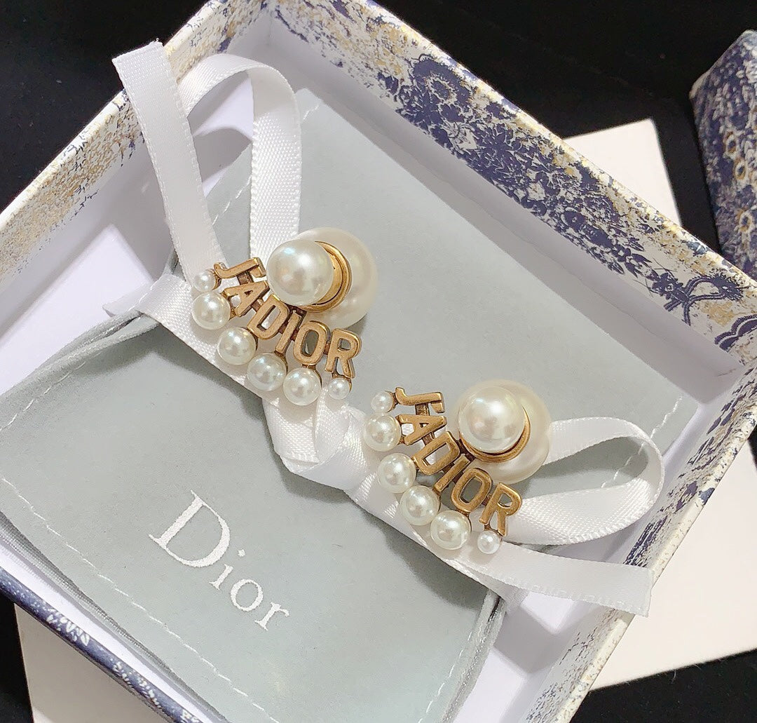 1D256EDE Stylish Earrings