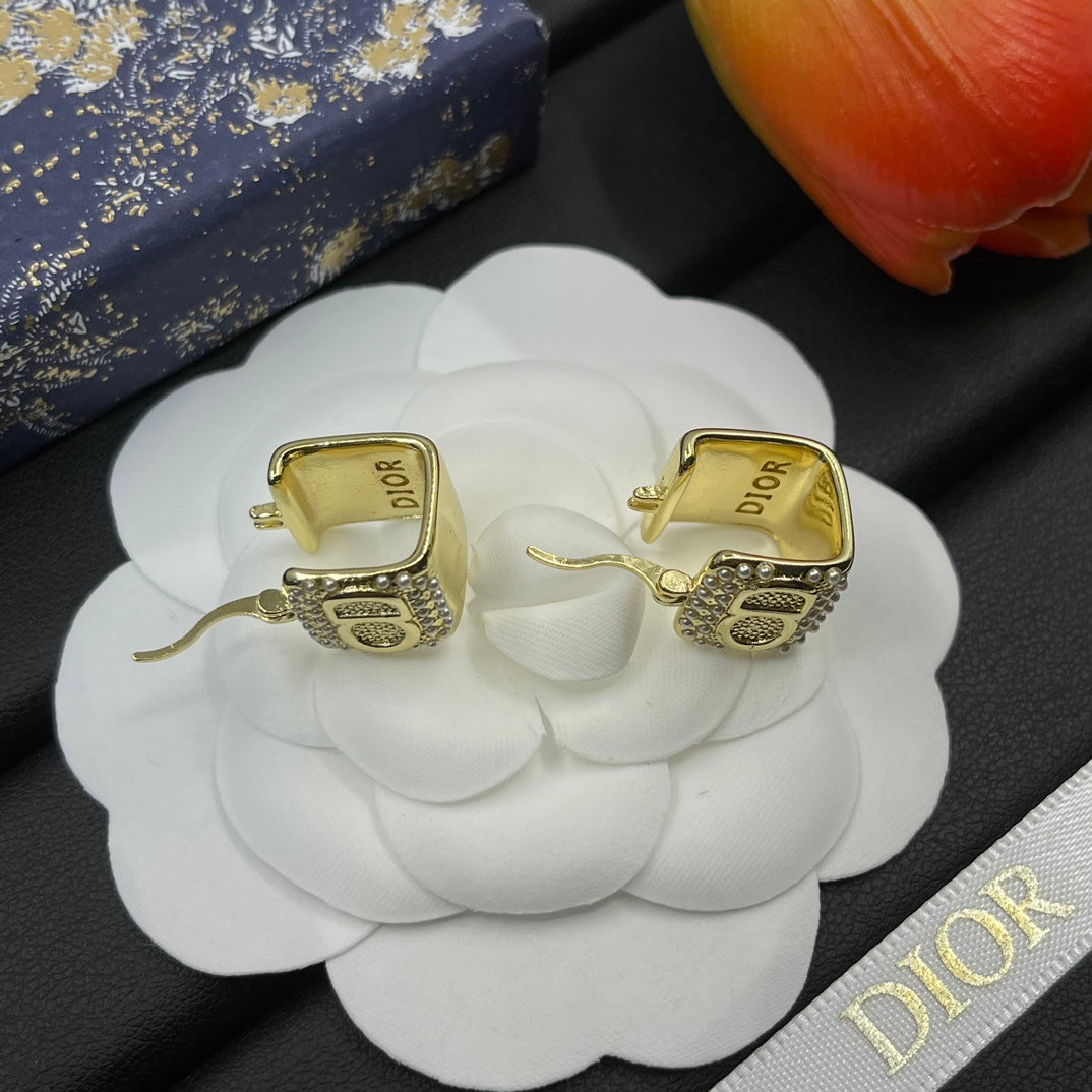 14D774EDE Stylish Earrings