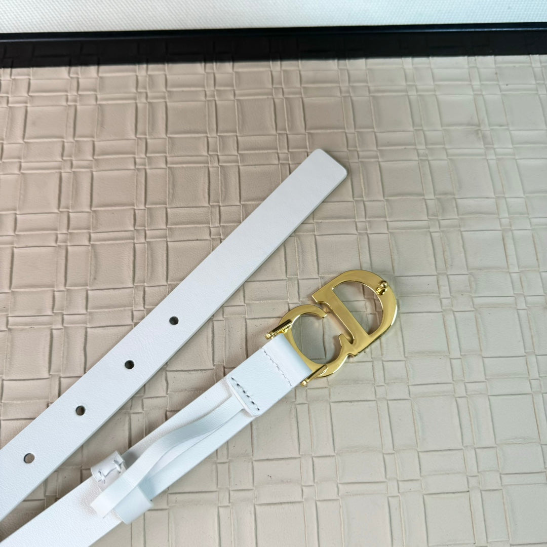 14D18PDE Stylish High quality belt With full package