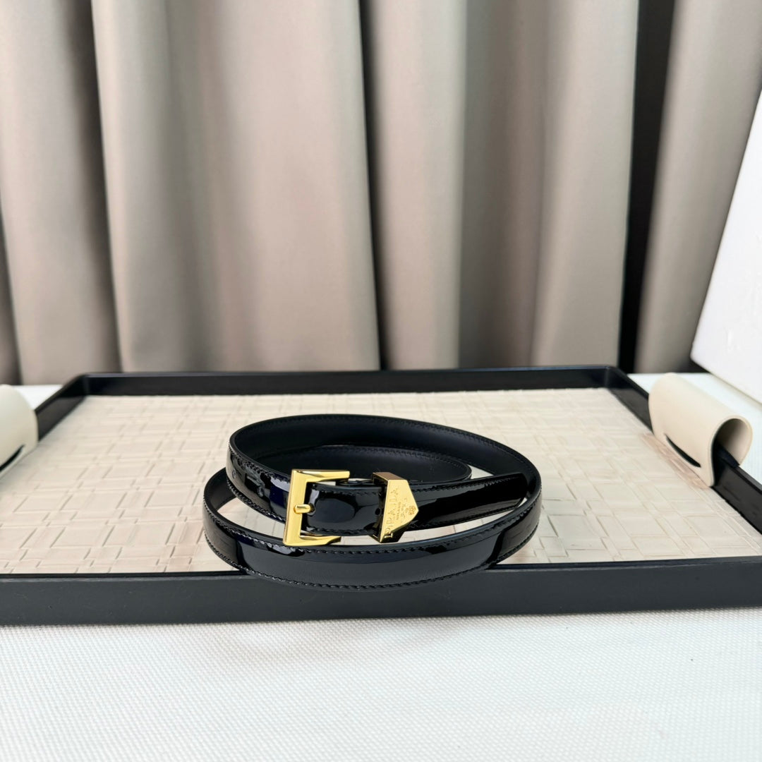 14PD29PDE Stylish High quality belt With full package