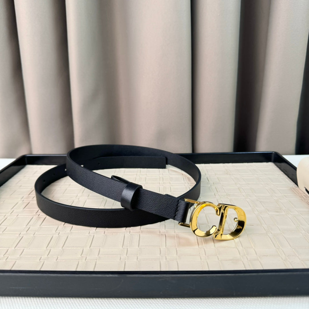 14D18PDE Stylish High quality belt With full package
