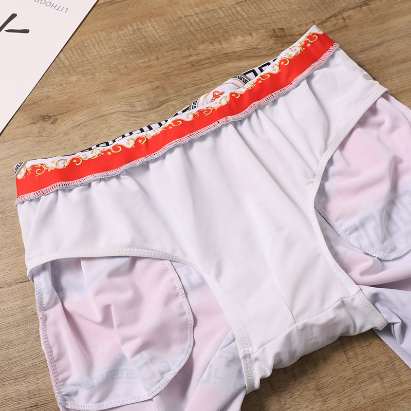 14V31YDE Stylish Men's trunks