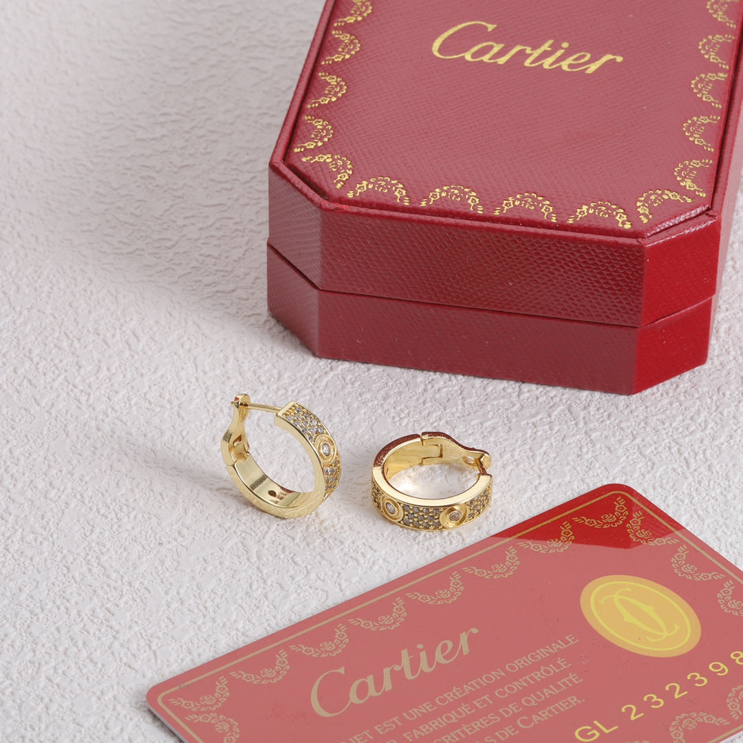 1YK13EDE Stylish Earrings