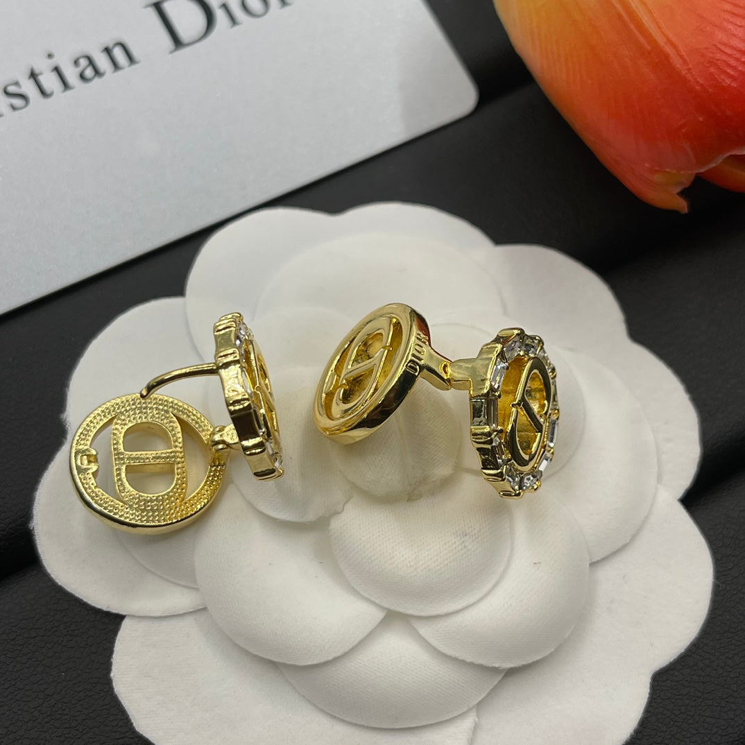 14D1061EDE Stylish Earrings