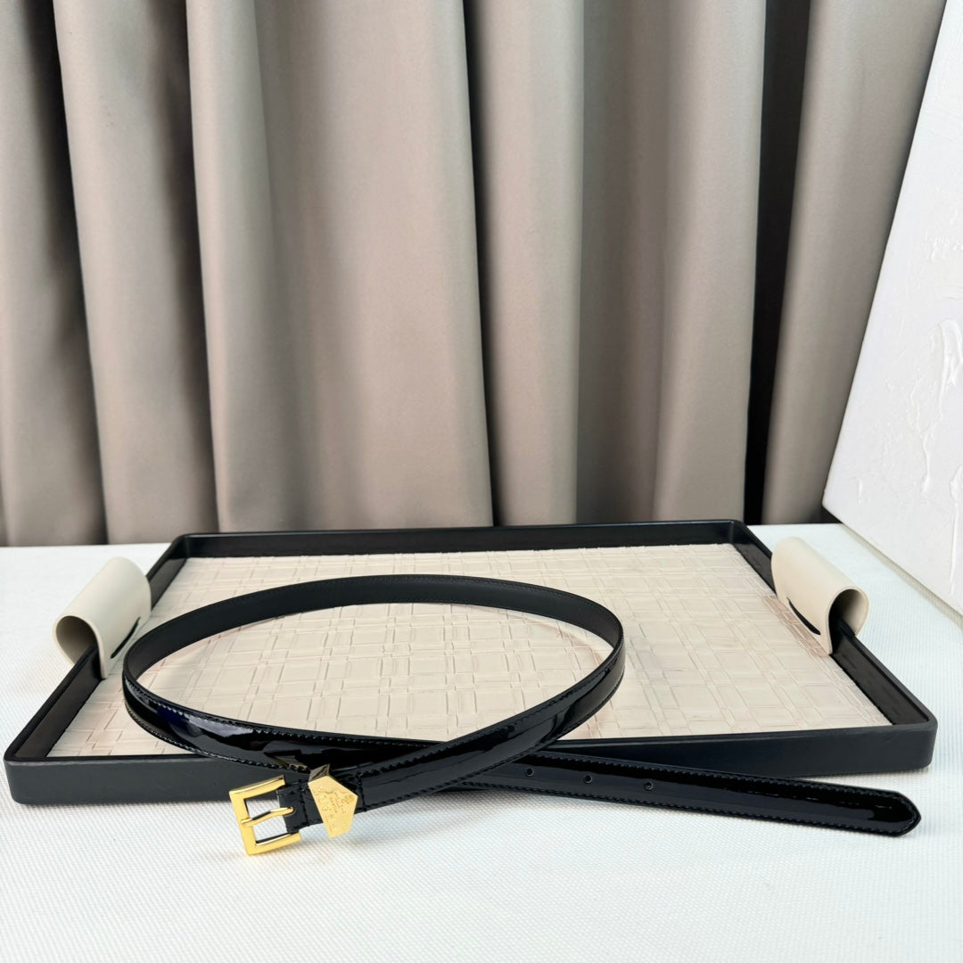 14PD29PDE Stylish High quality belt With full package