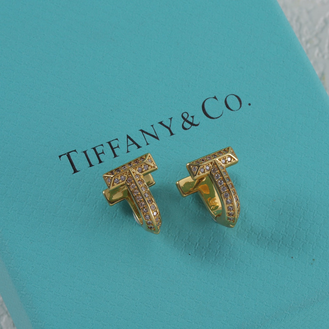 15NT2EDE Stylish Earrings