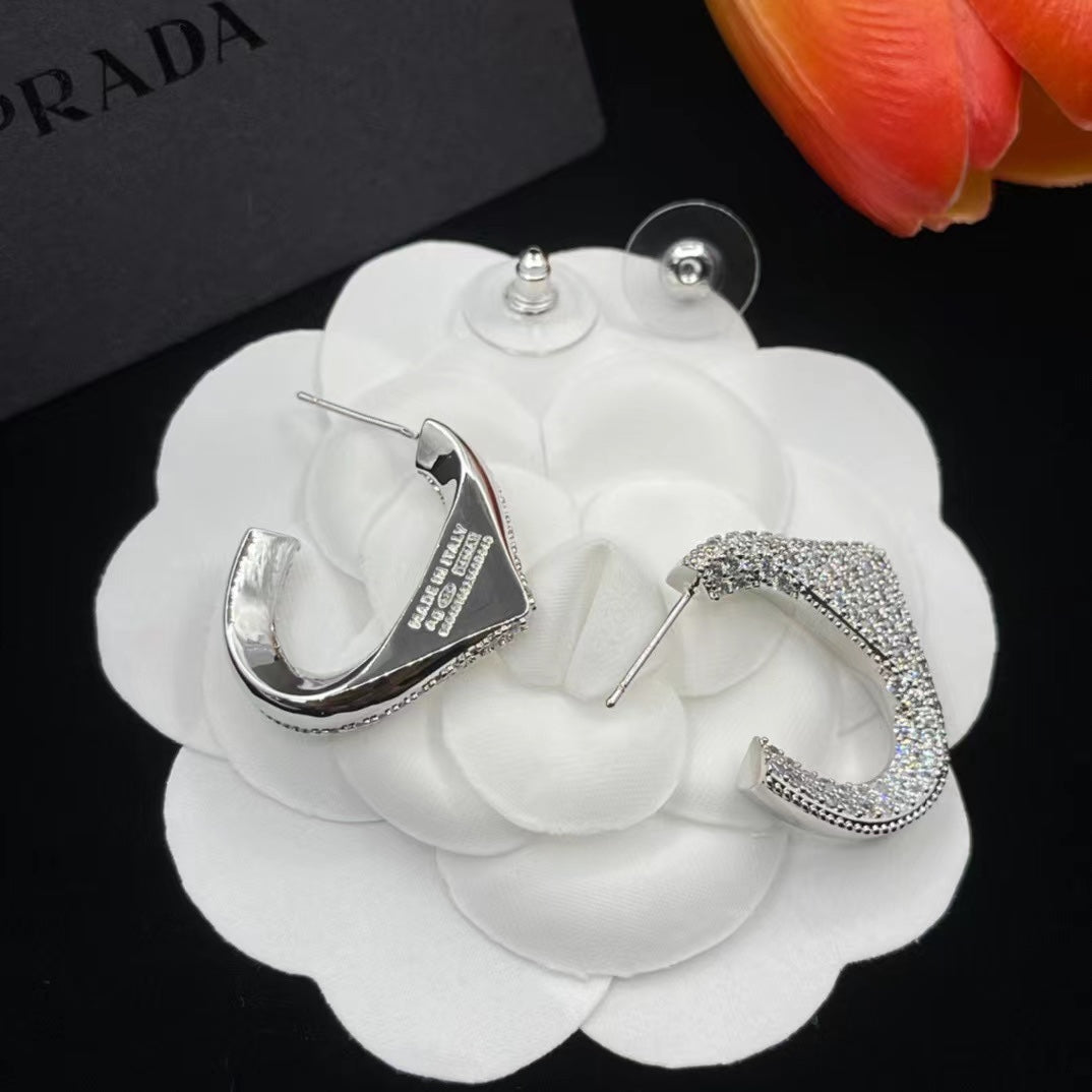 14PD816EDE Stylish Earrings