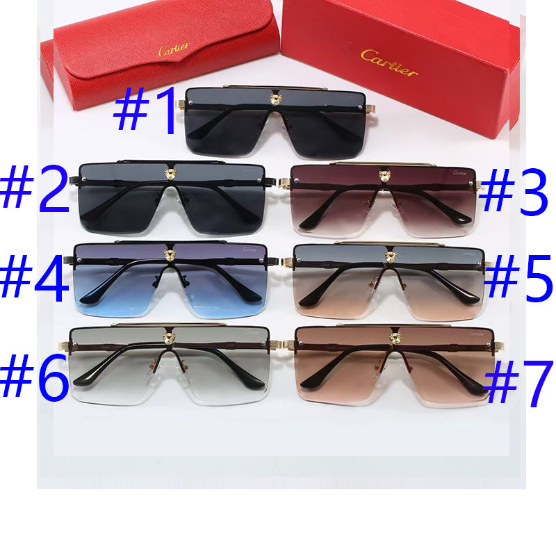 285RK55TDE Stylish Sunglasses