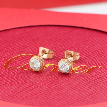 BK17EDE Stylish Earrings