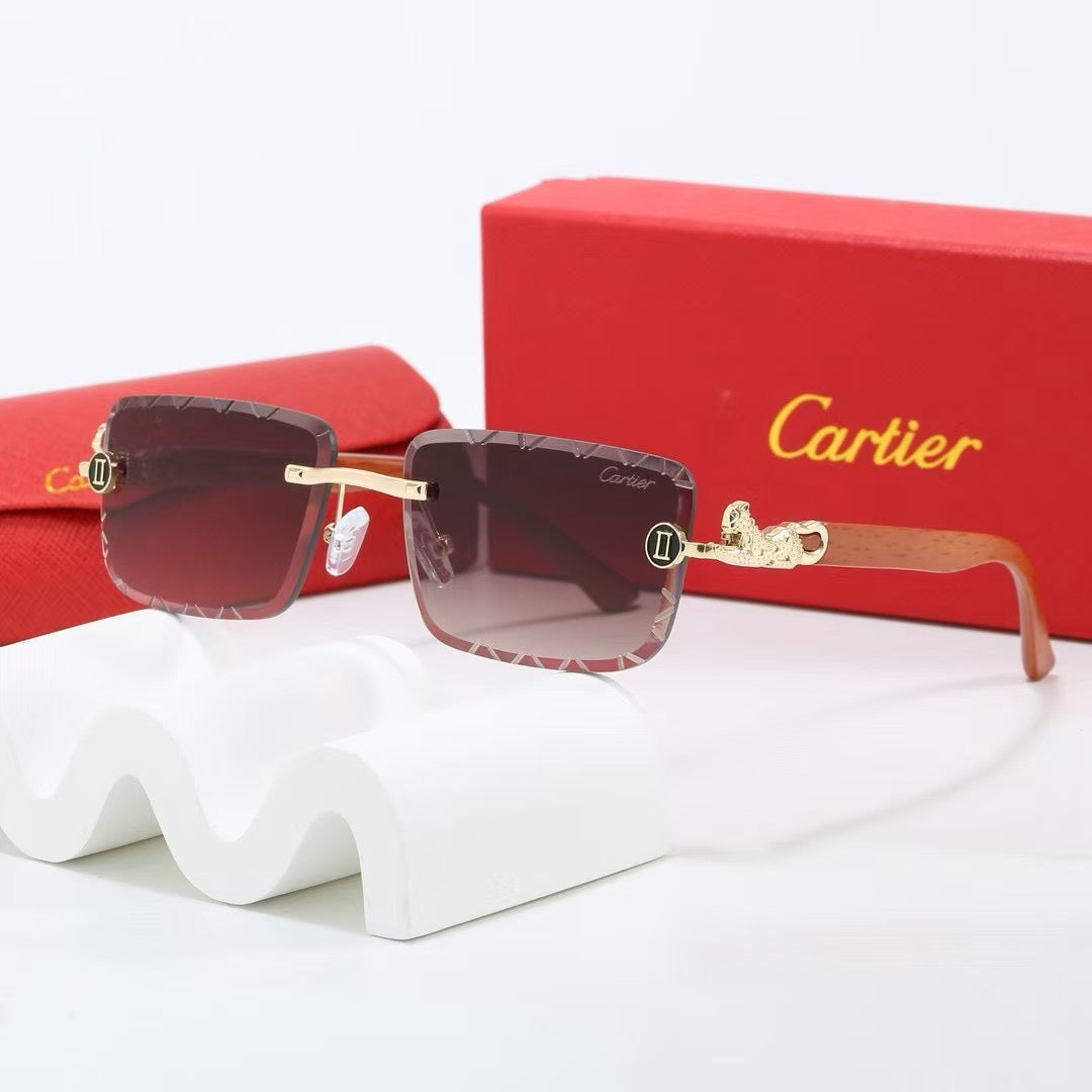 285RK65TDE Stylish Sunglasses