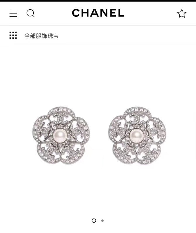 1YC45EDE Stylish Earrings