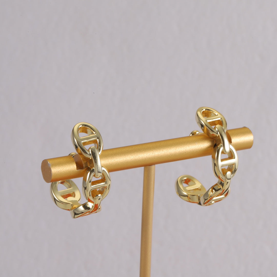 14H994EDE Stylish Earrings