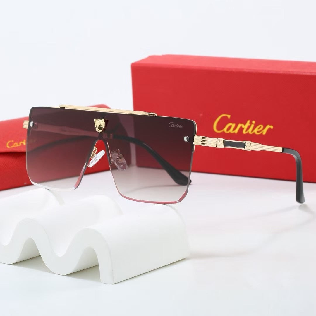 285RK55TDE Stylish Sunglasses