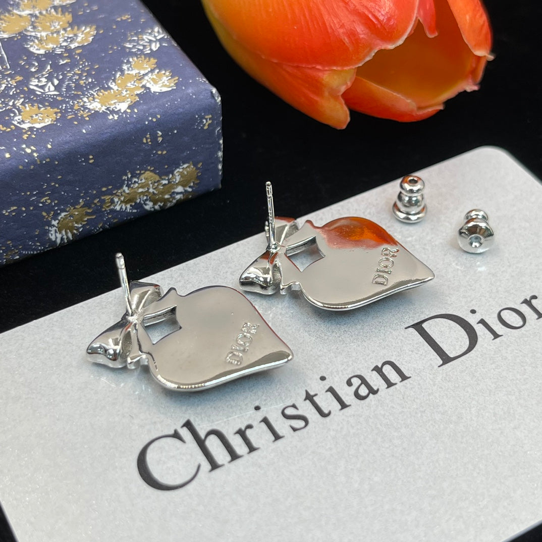 14D772EDE Stylish Earrings