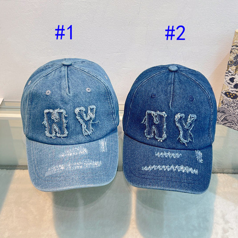 125ZA505MDE Stylish hats