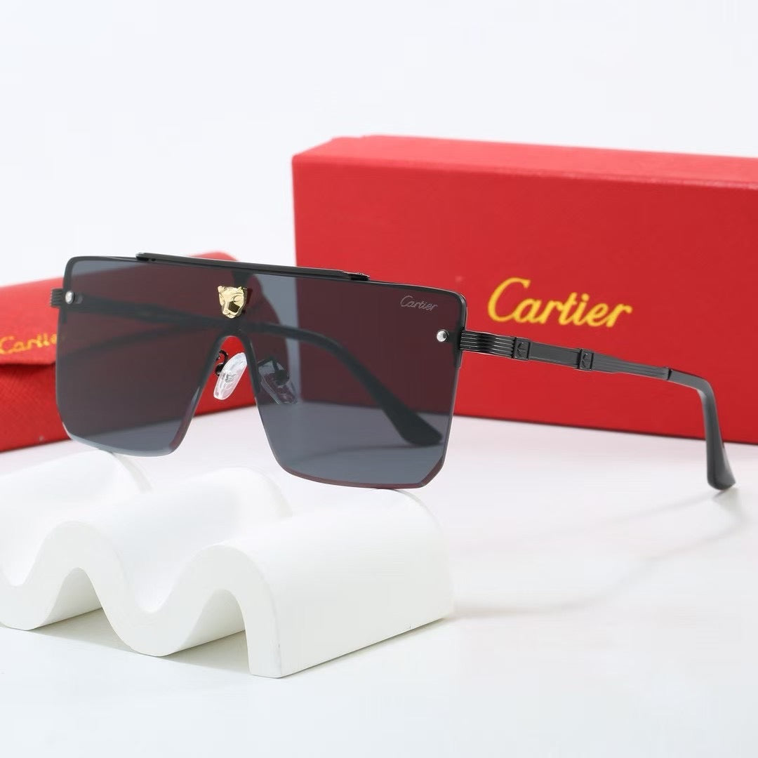 285RK55TDE Stylish Sunglasses