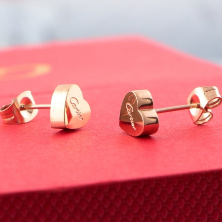BK18EDE Stylish Earrings