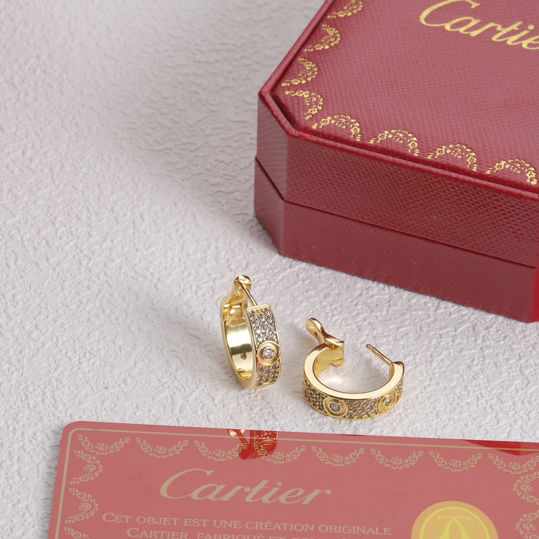 1YK13EDE Stylish Earrings
