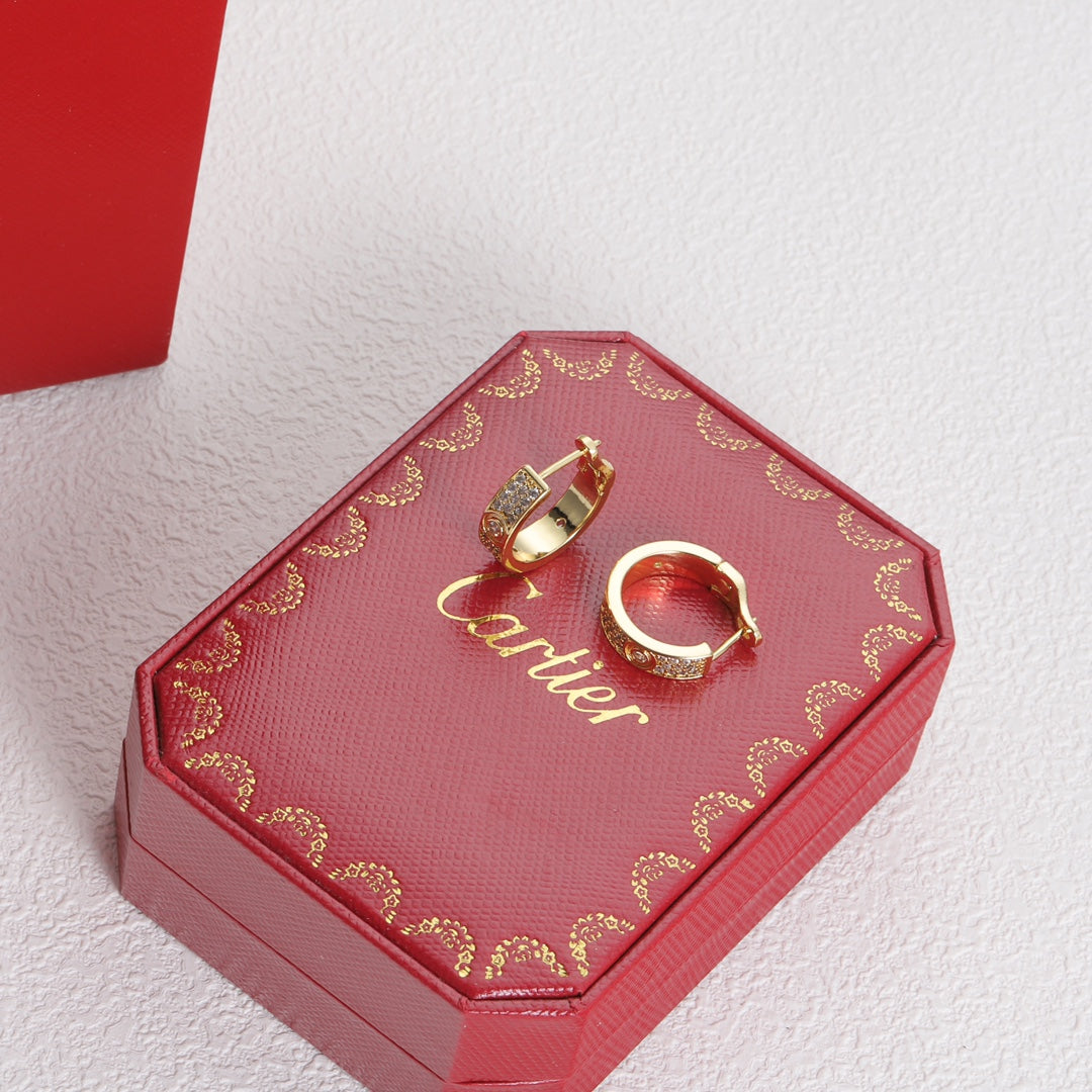 1YK13EDE Stylish Earrings