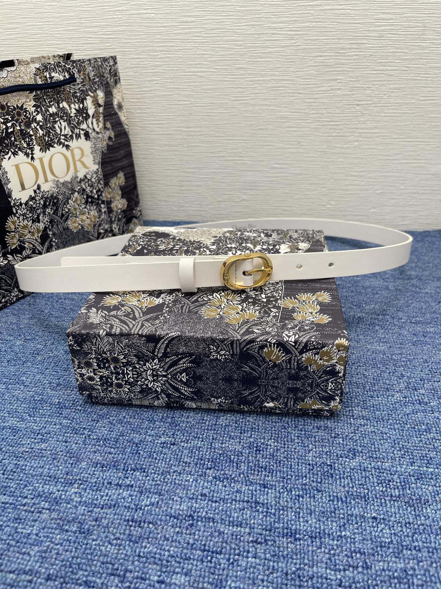155RD204PDE Stylish High quality belt With full package