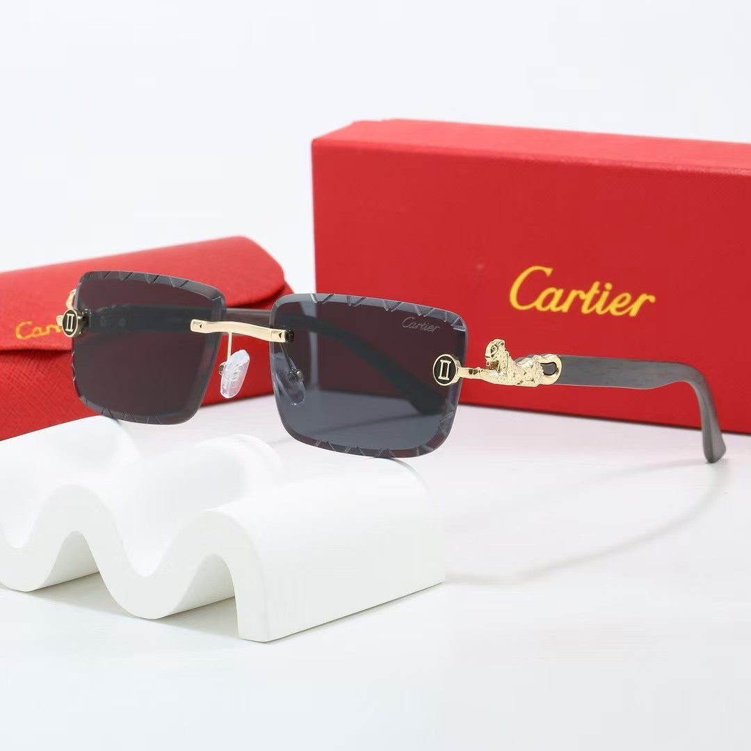 285RK65TDE Stylish Sunglasses