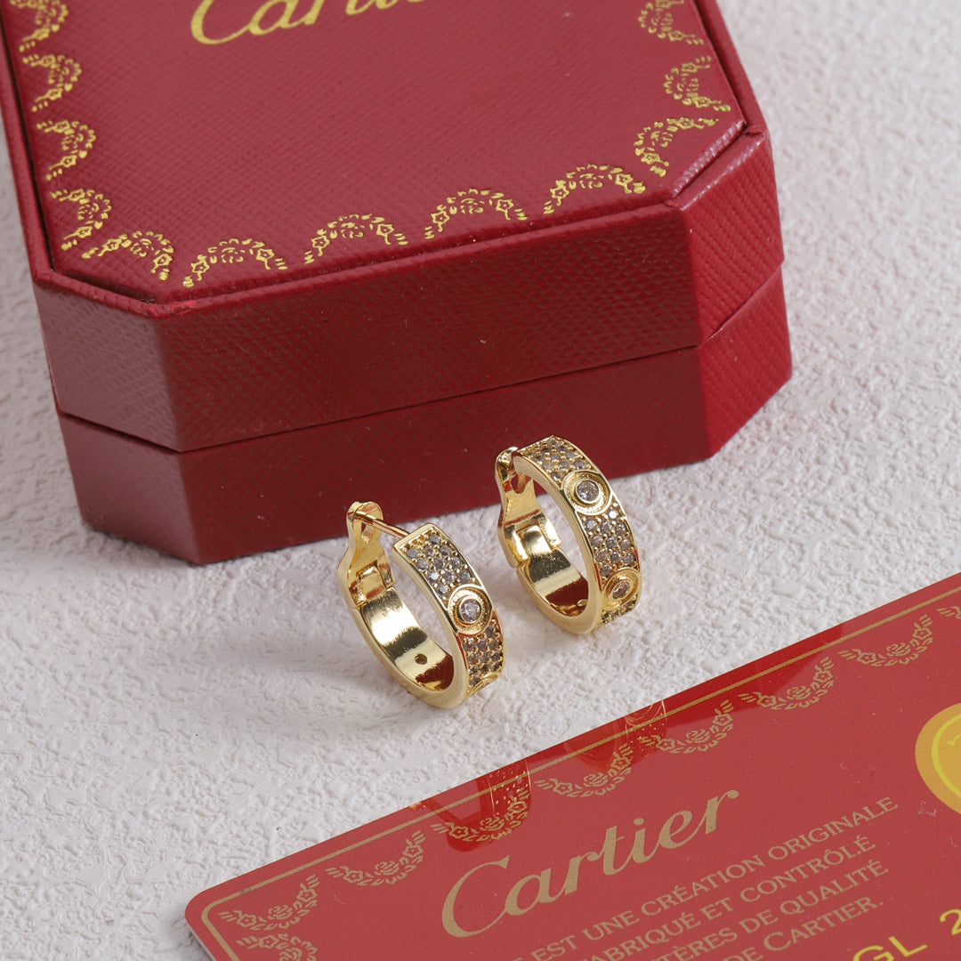 1YK13EDE Stylish Earrings