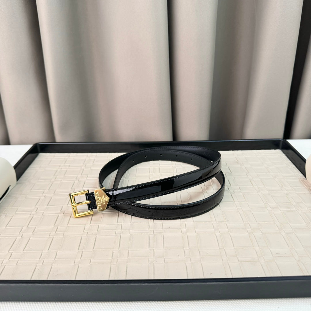14PD29PDE Stylish High quality belt With full package