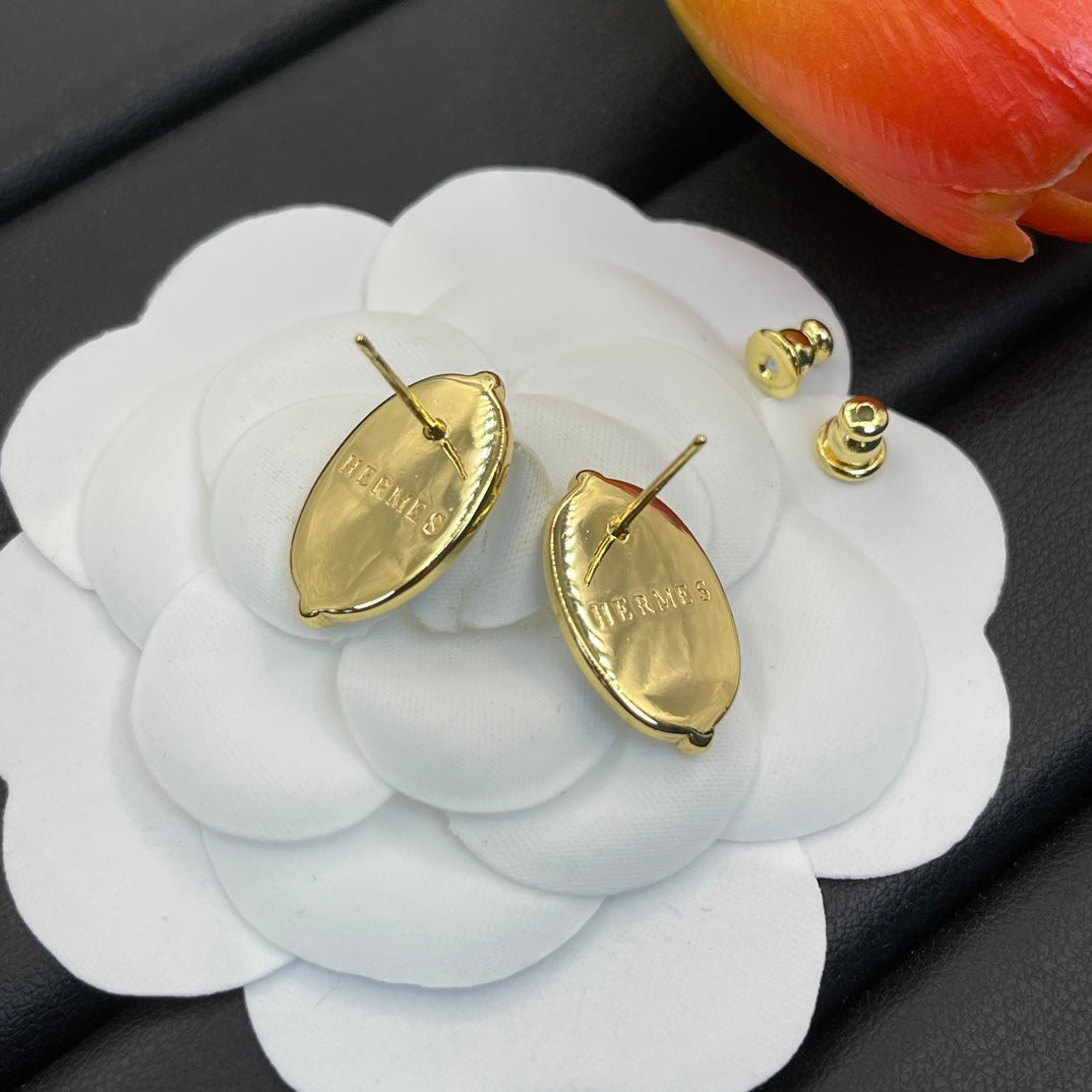 14H613EDE Stylish Earrings