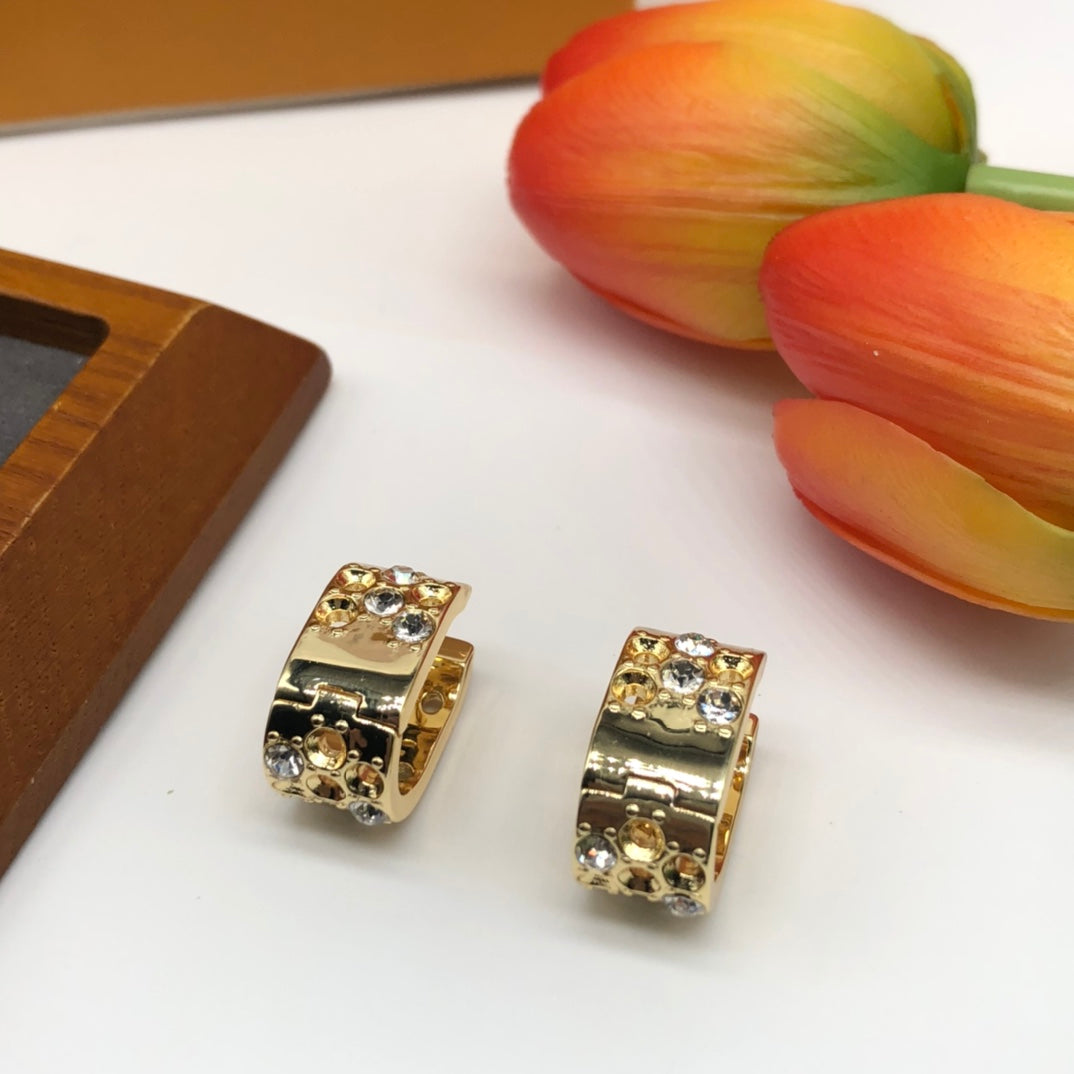 14J126EDE Stylish Earrings