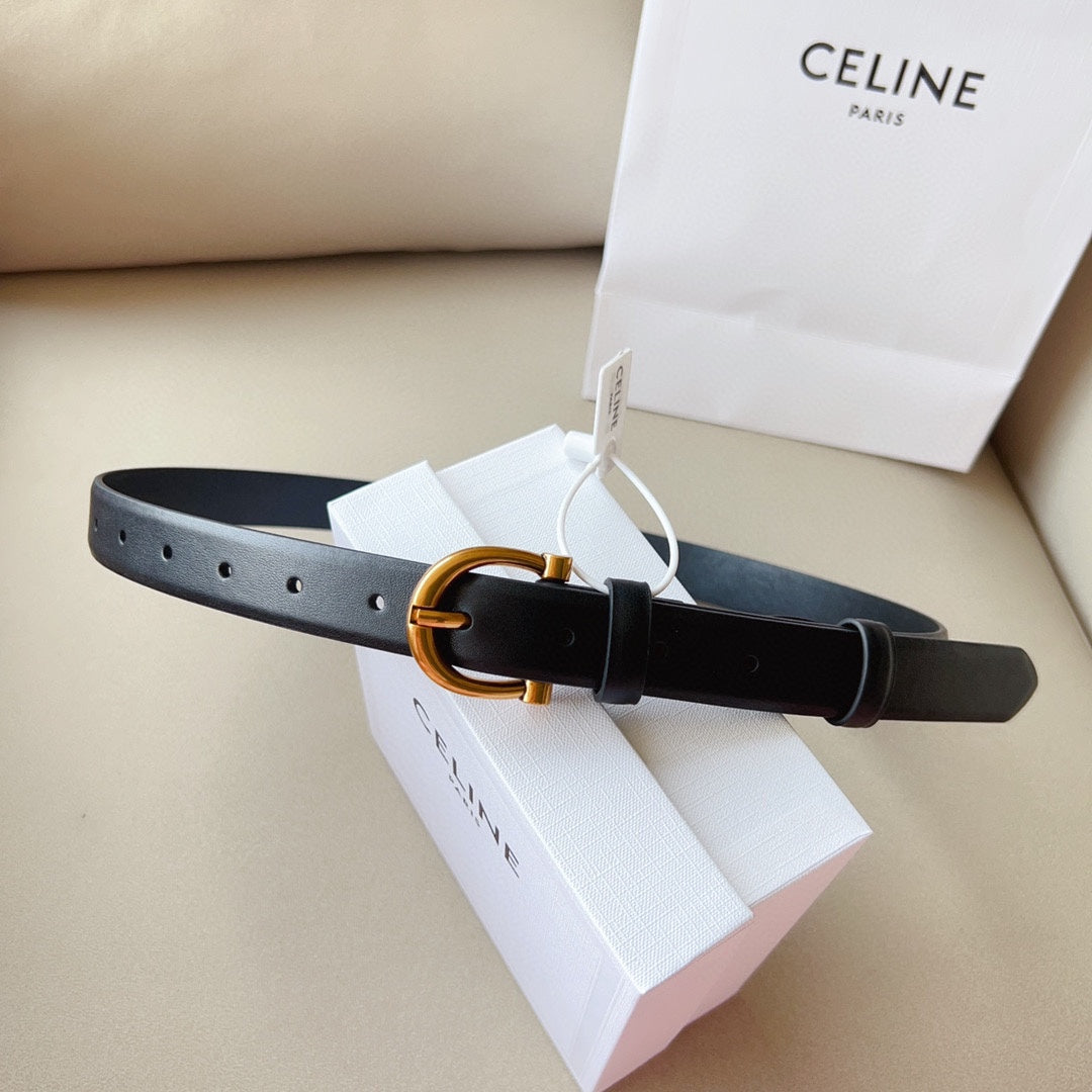 1WN178PDE Stylish High quality belt With full package