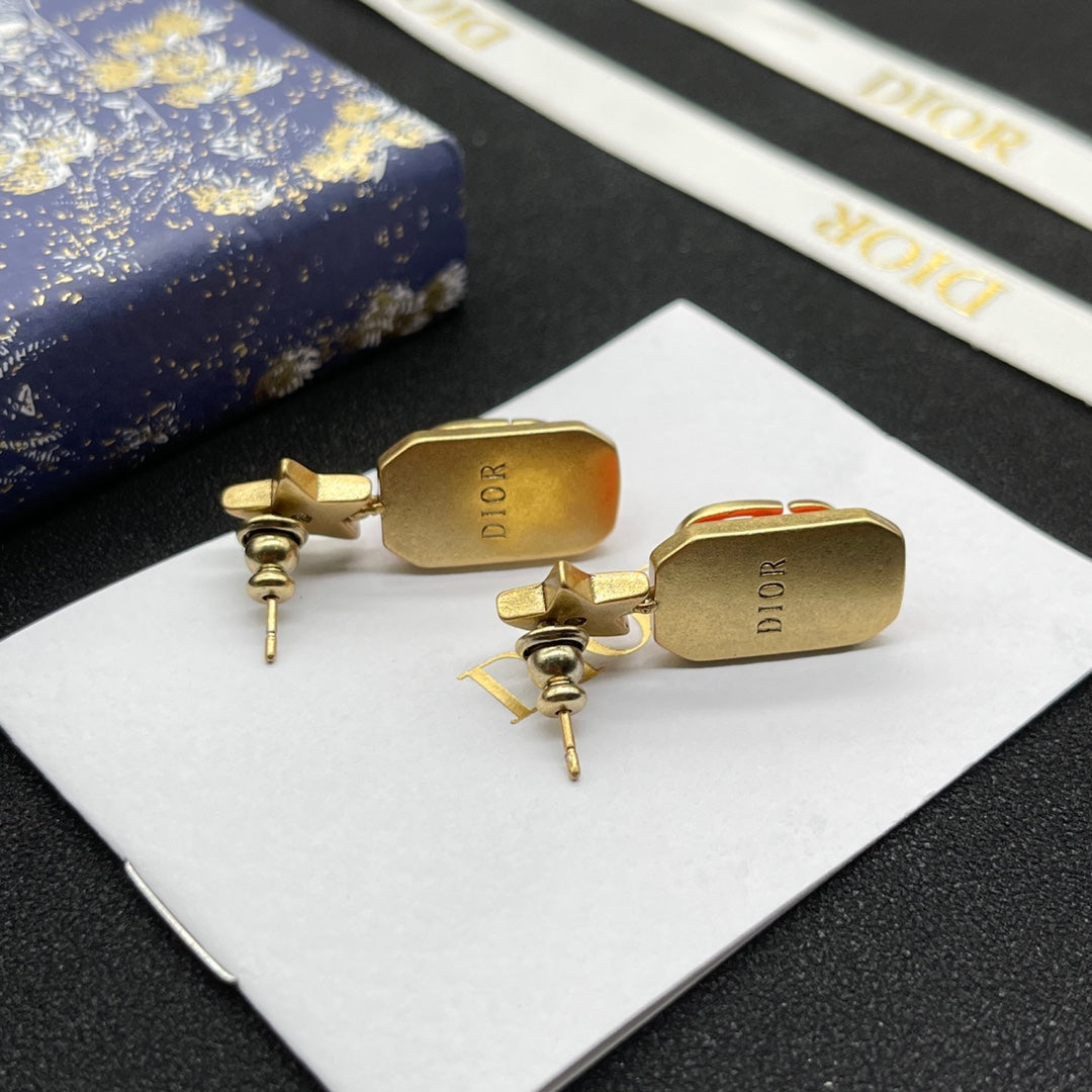 14D1039EDE Stylish Earrings