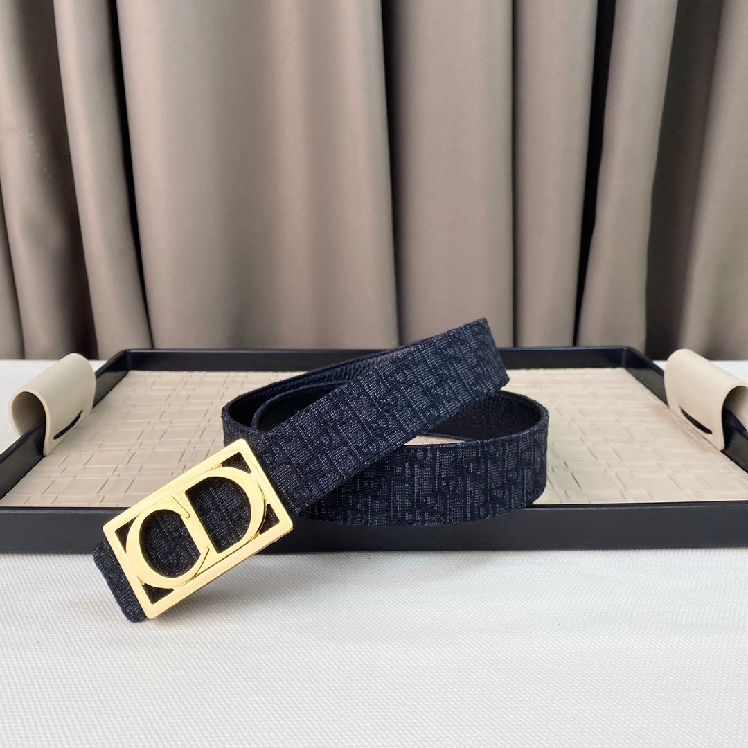 14D36PDE Stylish High quality belt With full package
