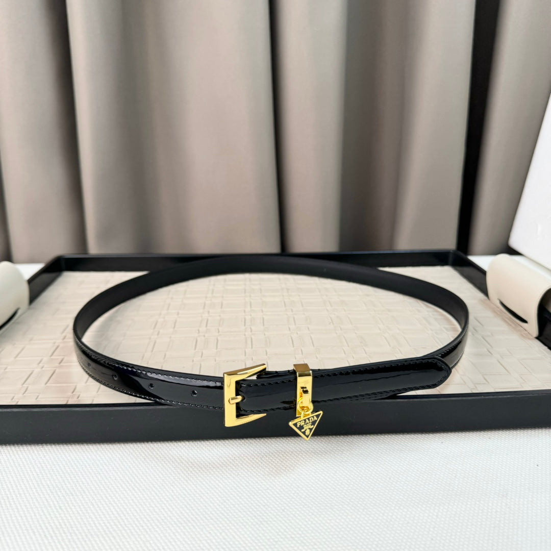 14PD29PDE Stylish High quality belt With full package
