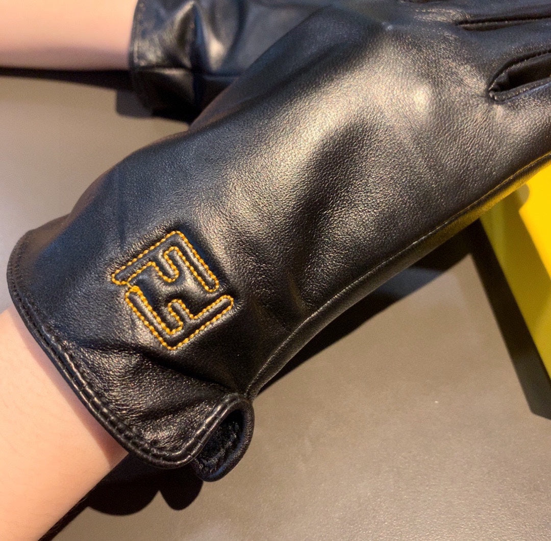 24F95SDE Stylish gloves