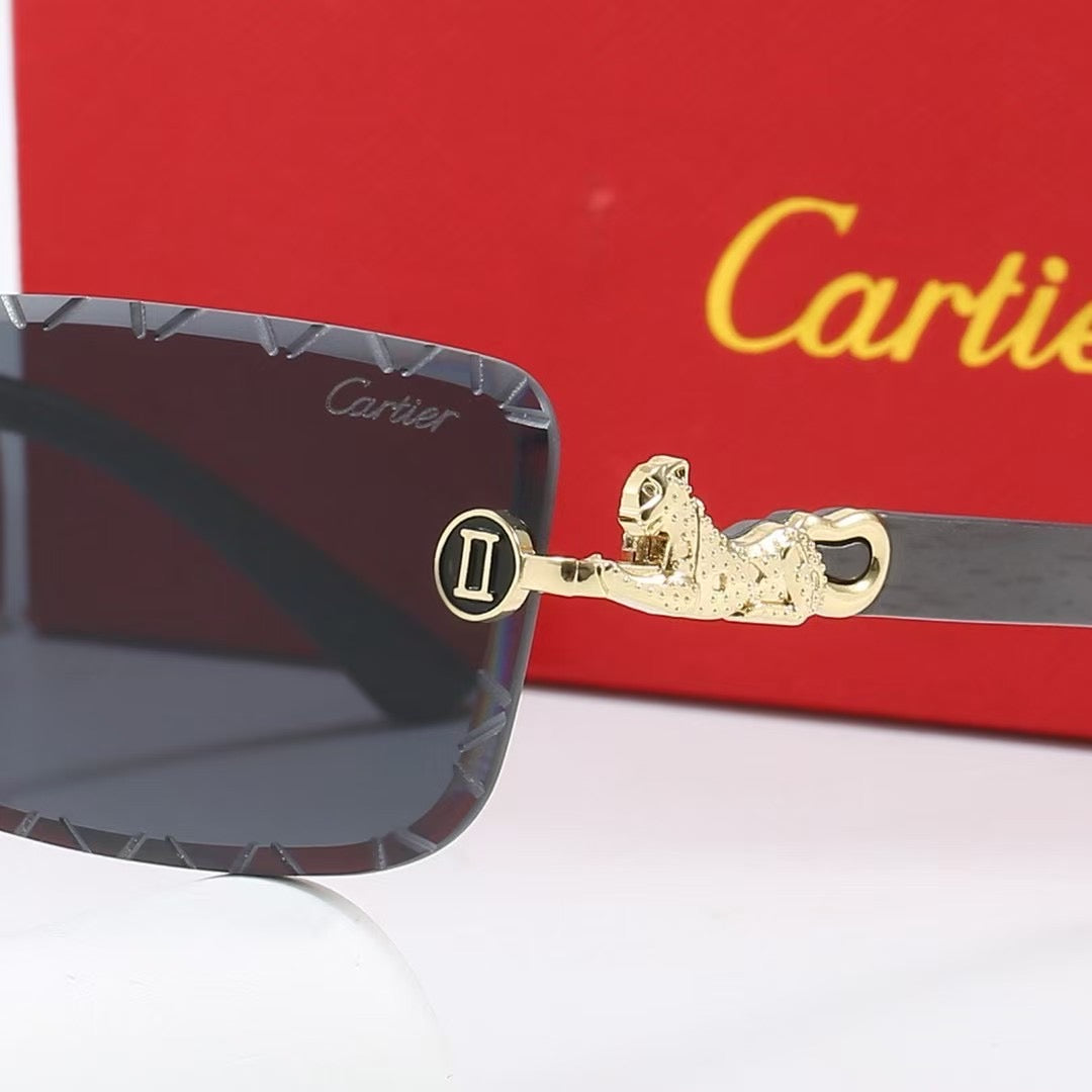 285RK65TDE Stylish Sunglasses