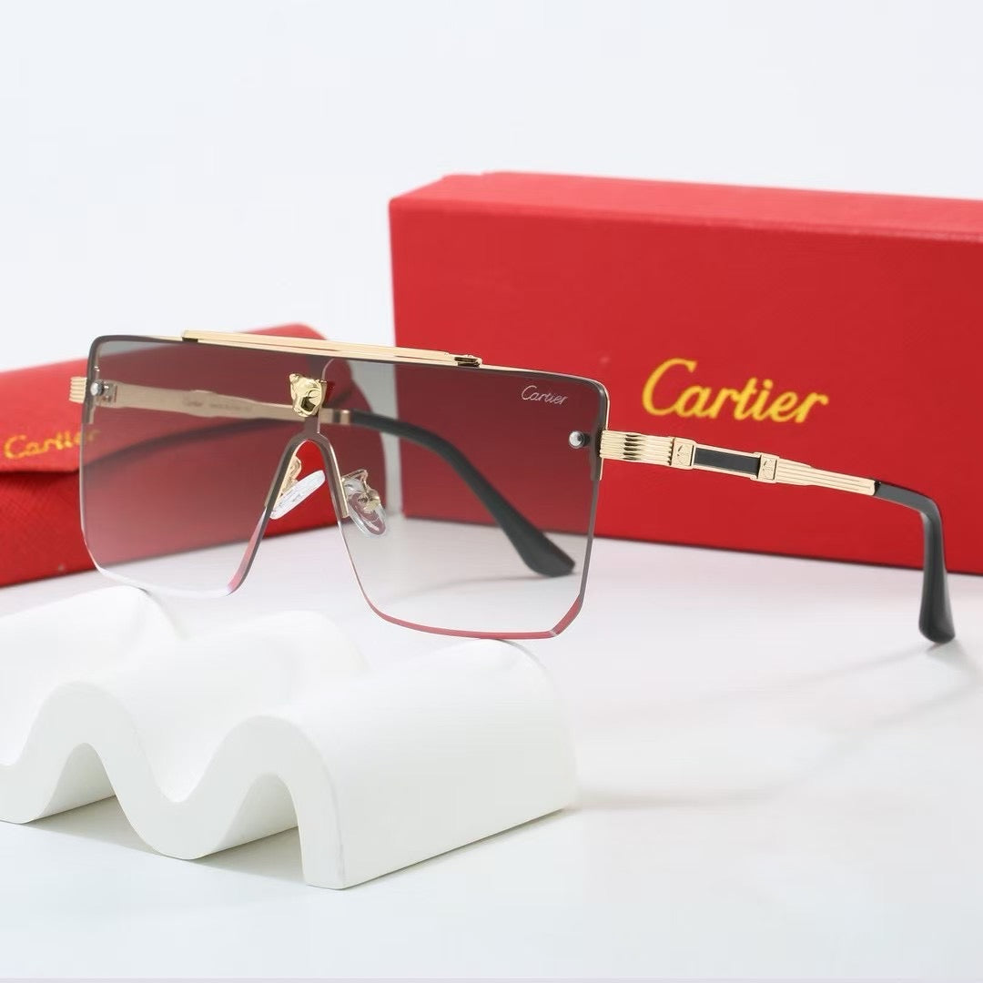 285RK55TDE Stylish Sunglasses