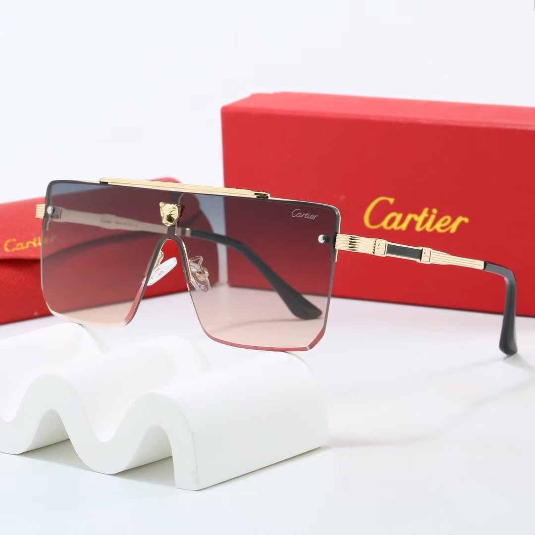 285RK55TDE Stylish Sunglasses
