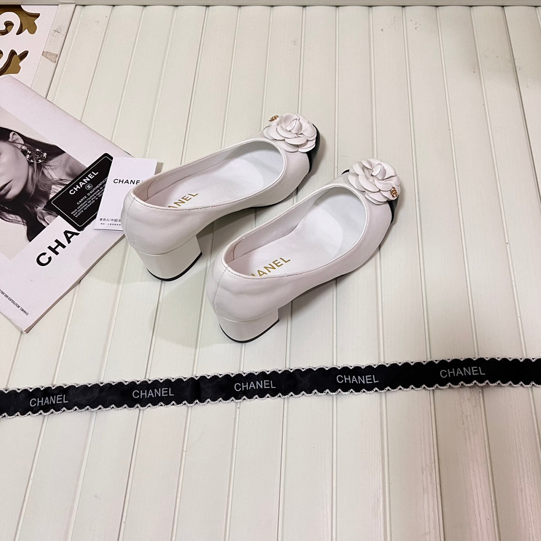 1WC267ZDE Stylish shoes