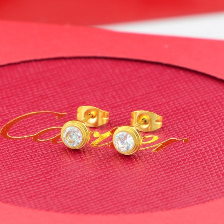 BK17EDE Stylish Earrings