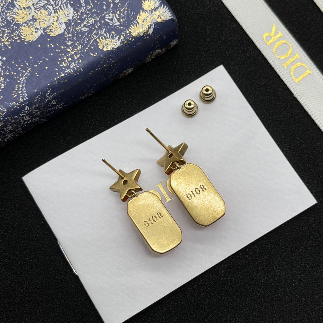 14D1039EDE Stylish Earrings