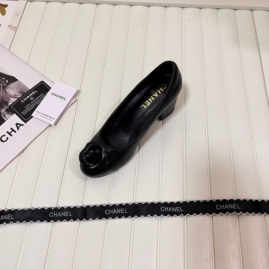 1WC267ZDE Stylish shoes
