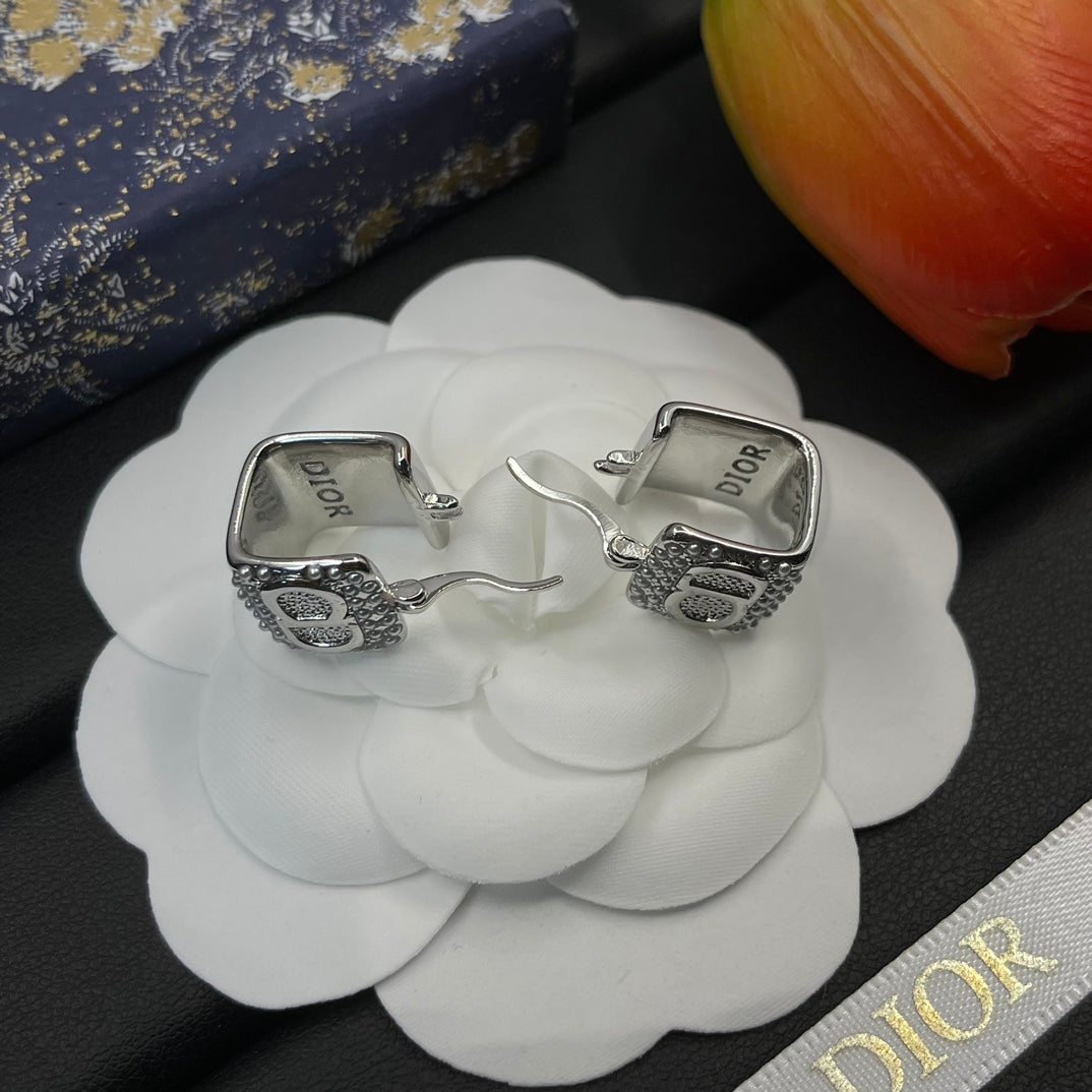 14D774EDE Stylish Earrings