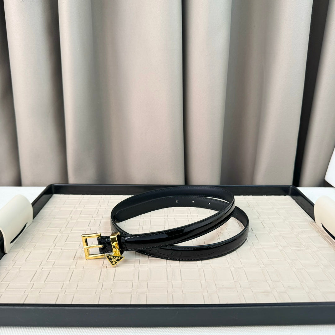 14PD29PDE Stylish High quality belt With full package