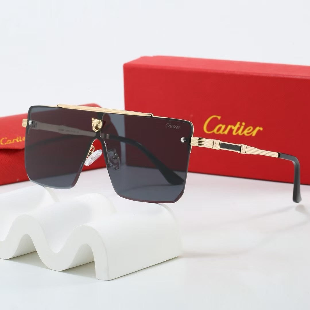 285RK55TDE Stylish Sunglasses