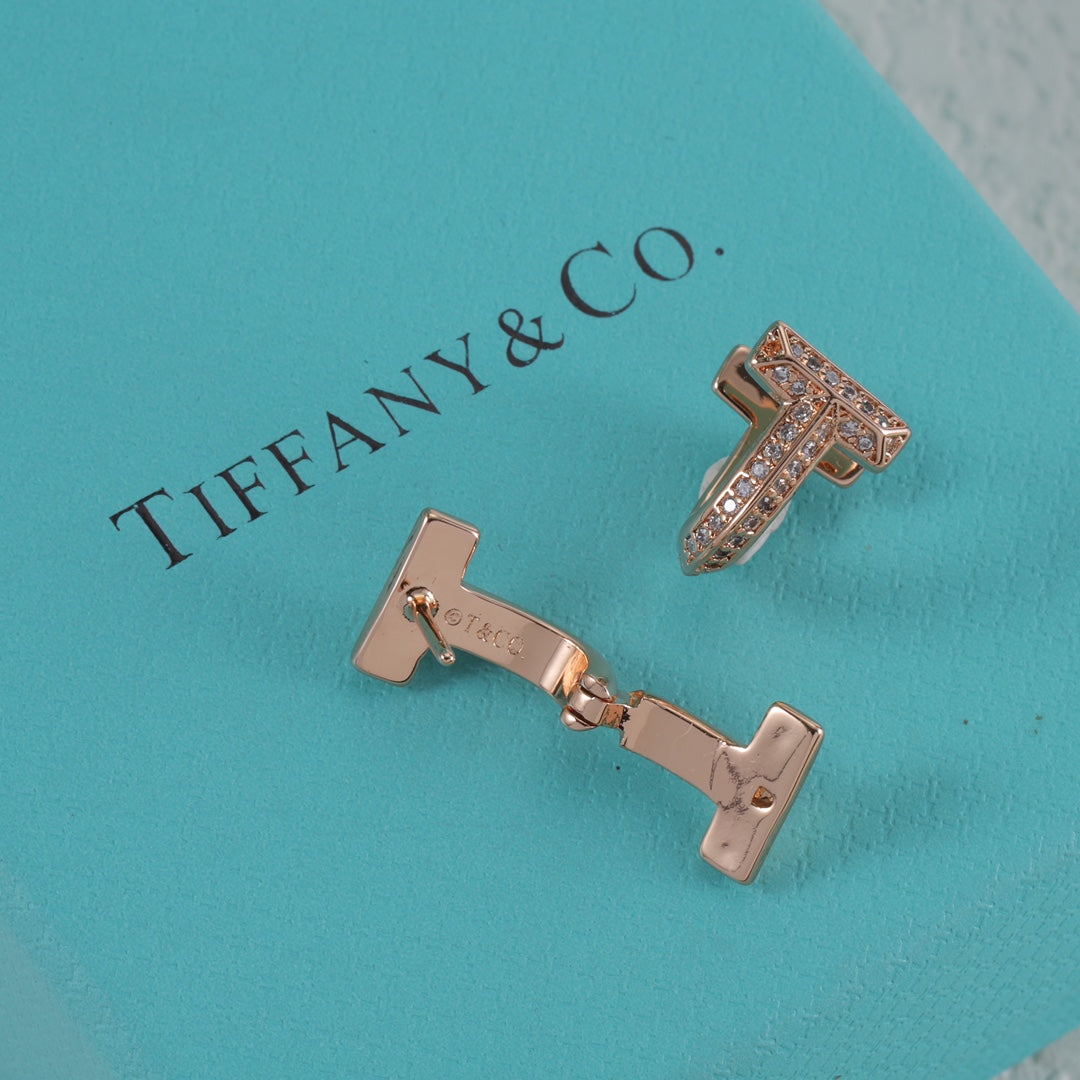 15NT2EDE Stylish Earrings