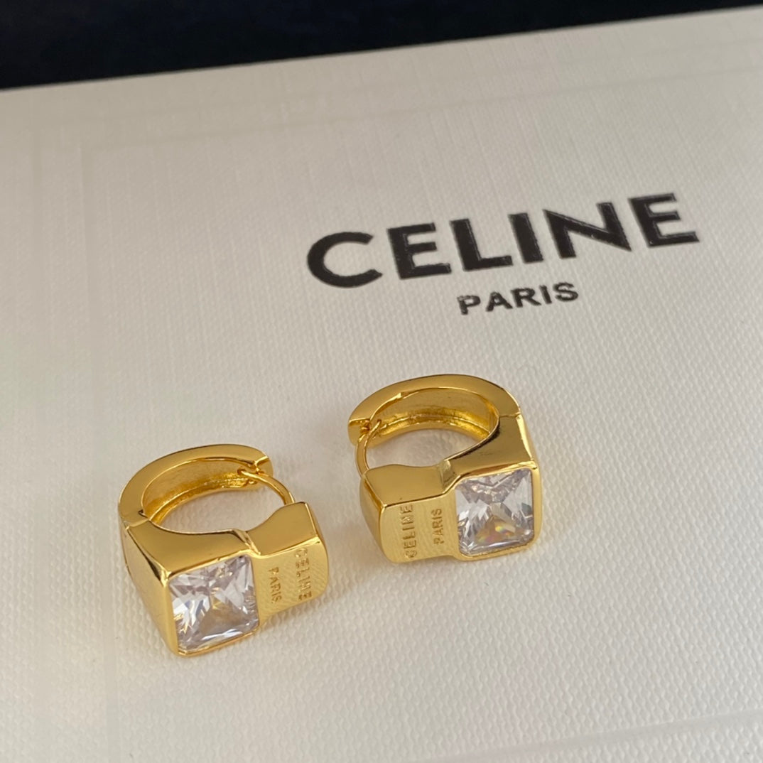 14CL682EDE Stylish  Earrings