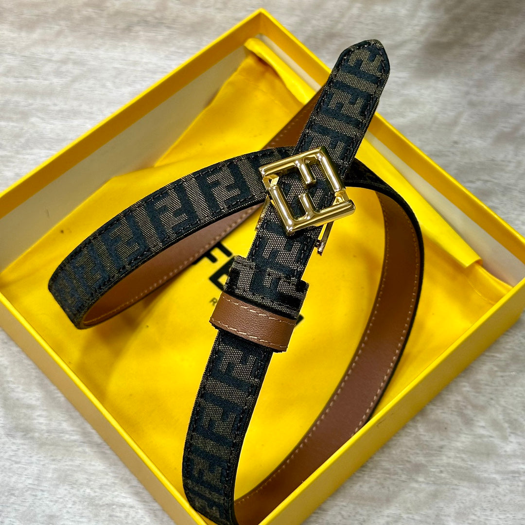1WF186PDE Stylish  High quality belt With full package