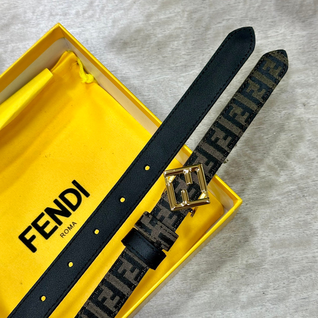 1WF187PDE Stylish  High quality belt With full package