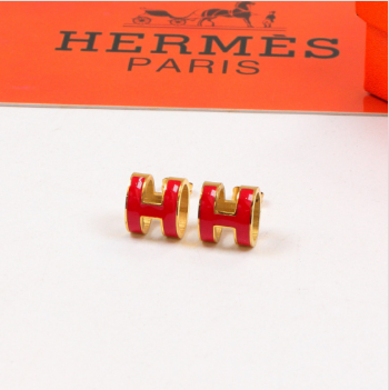 BWH2EDE Stylish Earrings